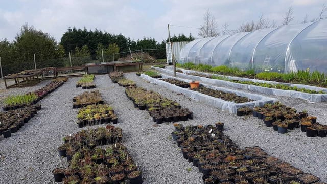 Social farming: 'It slows you down and makes you think all about life'