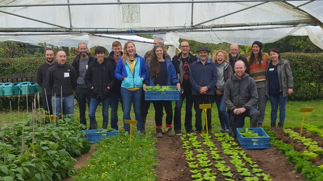 Could you learn from some of Ireland's most creative farmers?
