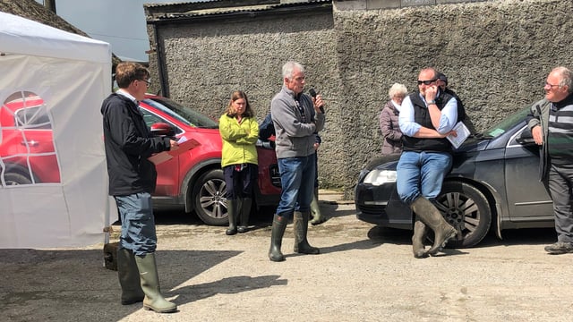 Dairy throwback: Farming 'outside of the norm' in Co. Limerick