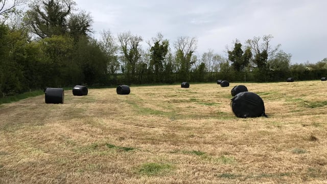 Green Acres: Harvesting first-cut silage and taking out surplus paddocks