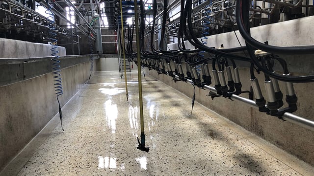 AgriLand and the ICMSA launch new 'Milk Price Tracker'