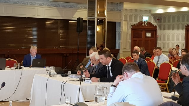 No evidence of breeding curlew at Derryadd Wind Farm site in Longford