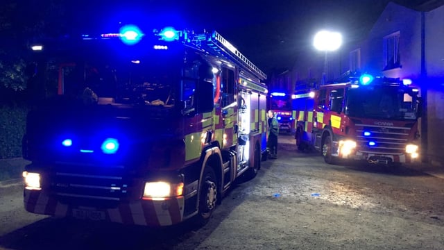 Cattle killed after lorry goes on fire in Limerick