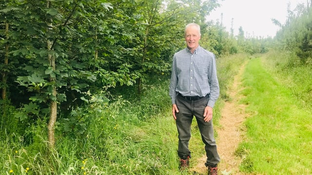 Cows to conifers: 'Food is not the priority - I'm farming for air'