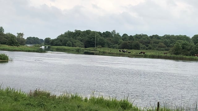 OPW minister aims to propose River Shannon bill early in new year