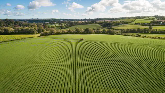 Using satellite data to enhance global food security
