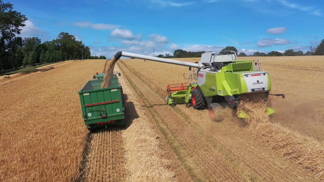 Watch: Harvest in full swing in south Tipperary