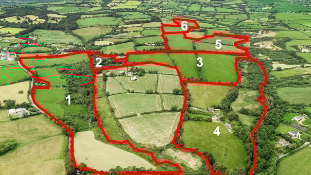 Period residence with an old mill on 171ac to go under the hammer in Gorey