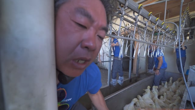 Video: Activist almost killed after locking neck to factory line