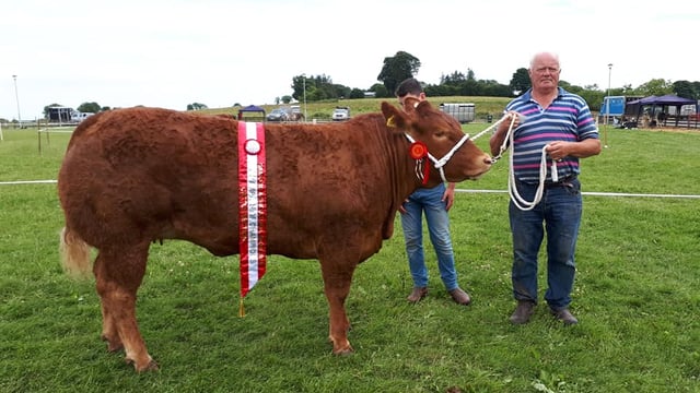 Granard Show works to make a name for itself