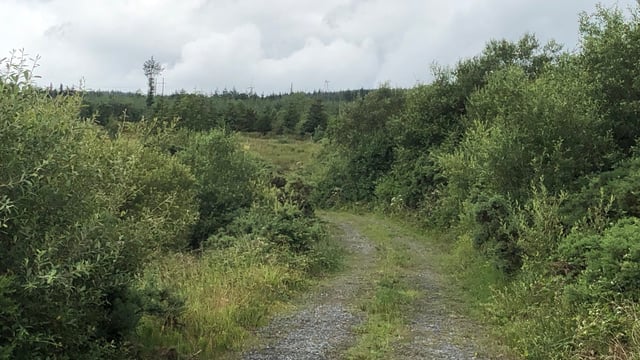 Updated: Missing Monaghan man safely found