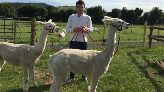 'We converted from a beef-finishing system to an open farm'