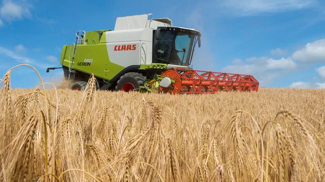 Have average cereal yields changed in recent years?