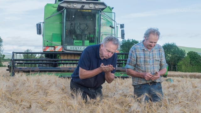 Watch: Winter barley harvest kicks off in Co. Tipperary
