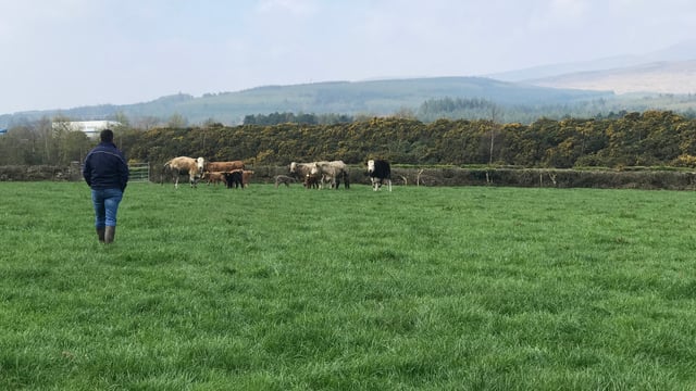 'Expecting farmers to take €3.45/kg at the factory gate is not sustainable'