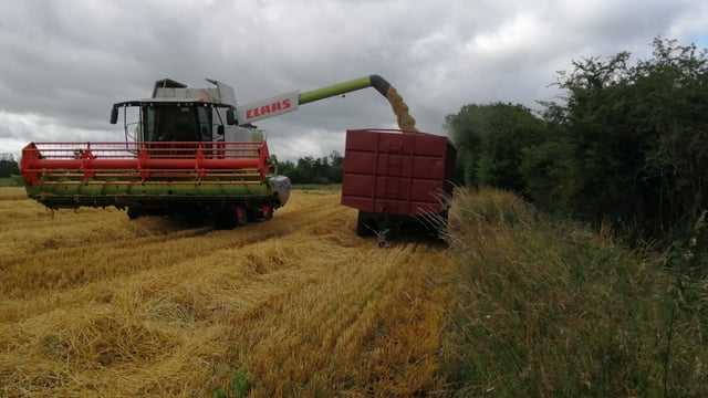 Harvest: 'Brutal season' causing 'mental and financial strain'