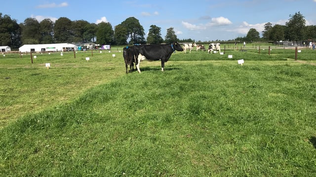 Moorepark '19: 'If you don't measure it, you can't improve it'