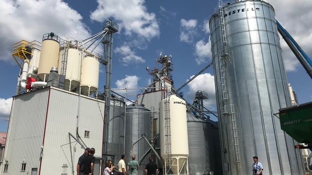 Watch: Cribit Seeds trialling and processing seed in Ontario