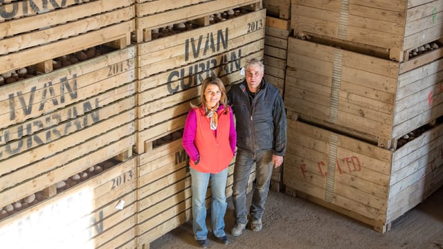 Tillage focus: From field or store, potatoes leave the farm all year round
