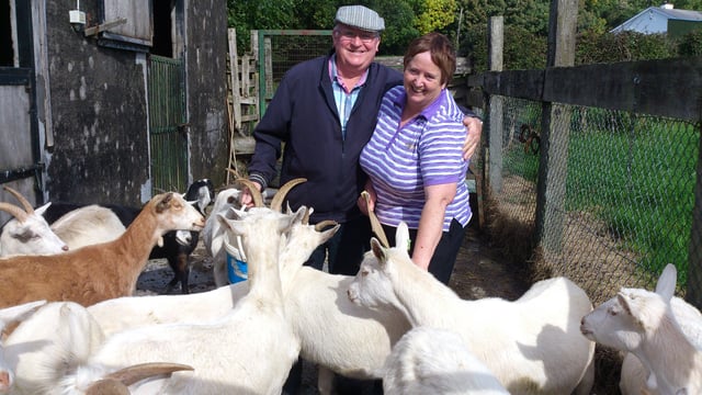 Westmeath couple reared over 1,000 goats for Bóthar
