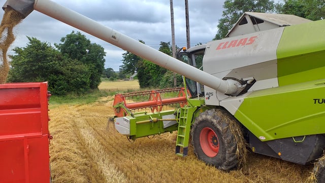 Rain halts harvest...plus straw news