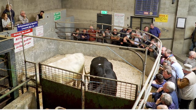 Video: Ballyjamesduff Mart goers react to Mercosur deal