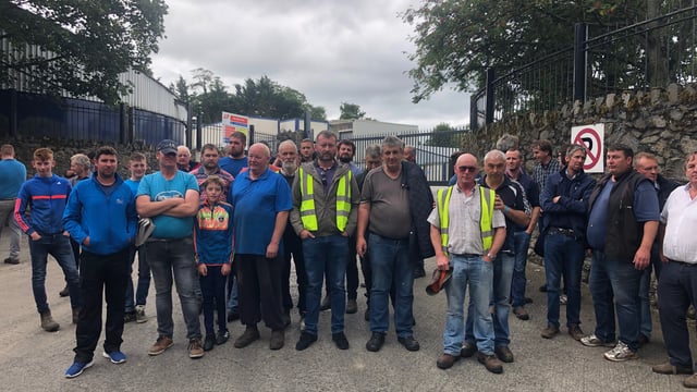Rural TDs call for Government intervention for beef sector