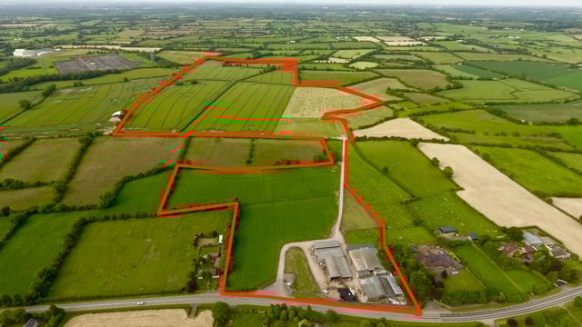 Pelletstown Farm: Historical Limousin enterprise to go under the hammer