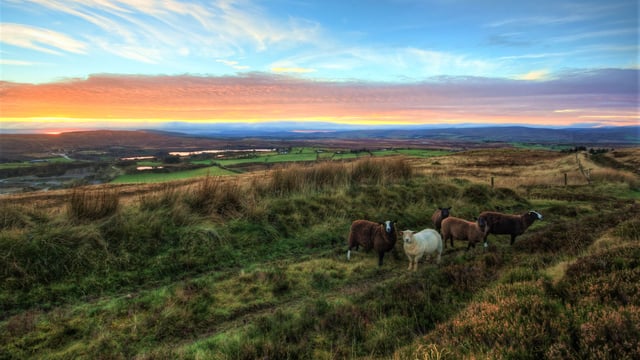 'Lay of the Land' serves up reflections on rural life