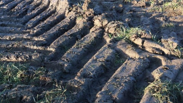Soil compaction is a constant challenge on grassland farms