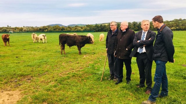 Creed on suckler cull proposal: 'It's an evolving picture'