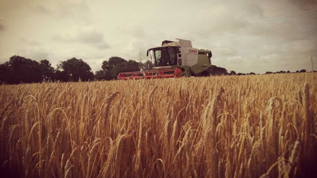 Harvest update: Mixed reports on yield as winter barley wraps up in midlands