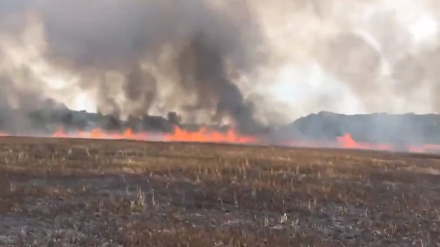 35ac of barley up in smoke due to suspected rubbish burning in Suffolk