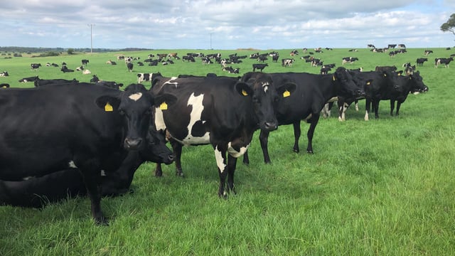 Dairy focus: Starting from scratch and growing to 257 cows in Co. Westmeath