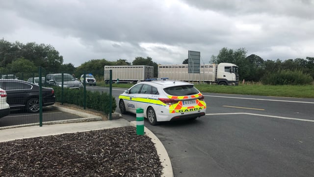 Livestock lorries delayed at ABP Nenagh