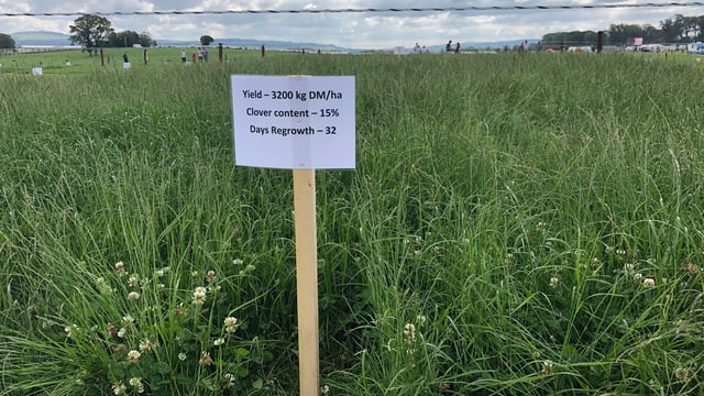 Pics: See best practices for successful grass utilisation