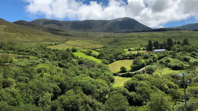 IFA reassures farmers by making 'clear' stance on CPOs