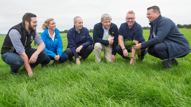 'Cheapest feed': Reseeding grass event draws the crowds in Cork