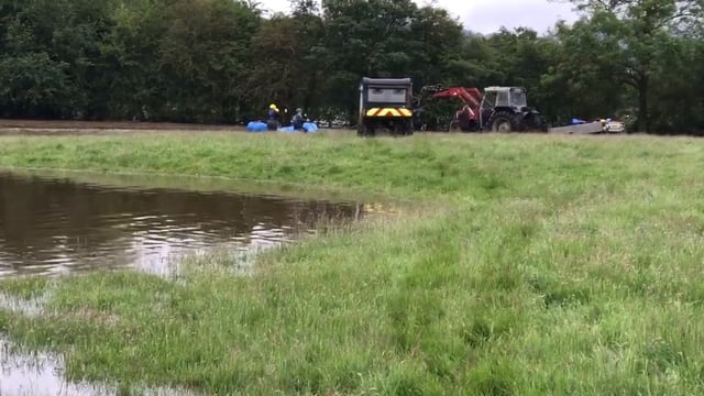 RSPCA saves 12 stranded sheep in flood rescue mission