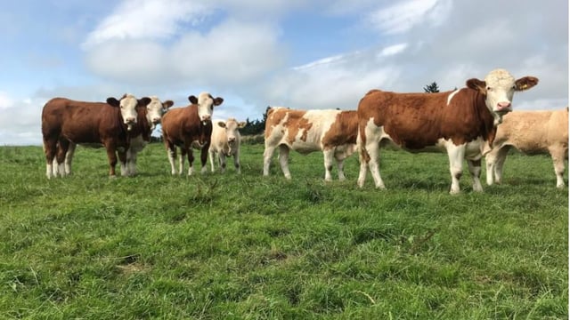 TB Forum agrees 10 policy actions - but 'work still needed'