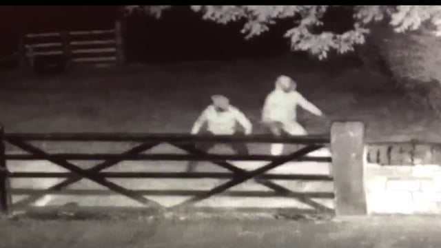 Video: Culprits caught on camera trying to butcher sheep