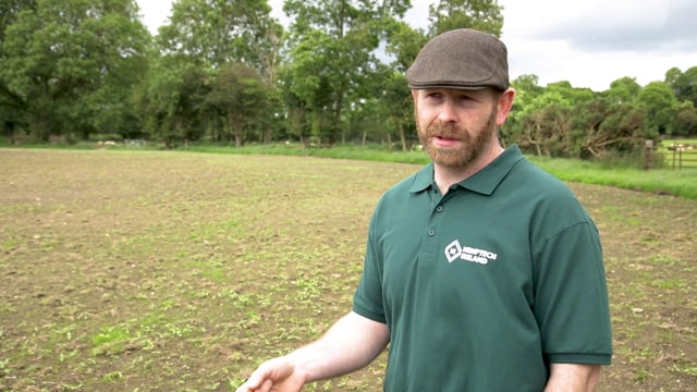 Tillage focus: Growing and harvesting a 40ac hemp crop in Co. Wicklow