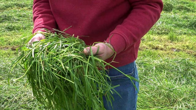 2020 Pasture Profit Index announced by Teagasc and the department