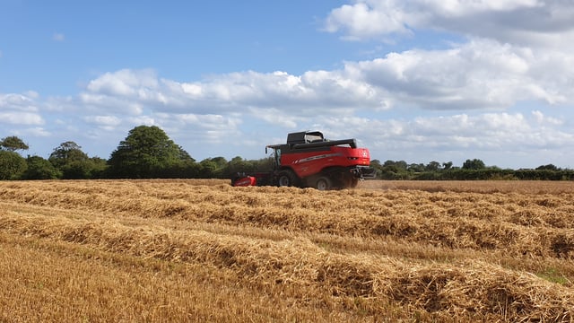Combine harvesting: How much does it cost?