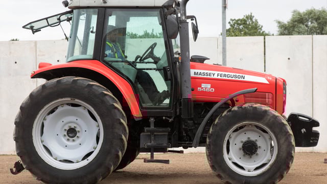 Auction report: 'If she ain't red...'