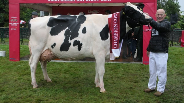 Diageo Baileys cow winner announced at Virginia Show