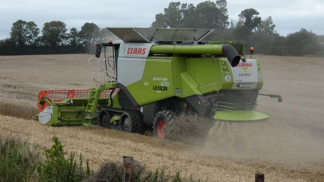 AgriFocus: 'Farmers are flat out trying to harvest'