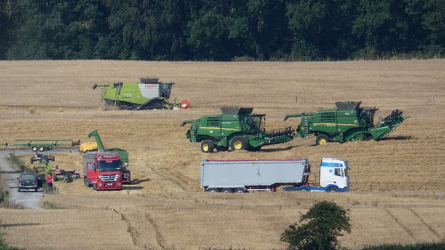 Harvest pics: Heavy rain halts activity