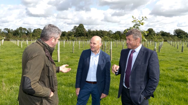 Doyle highlights role of agroforestry on Irish farms