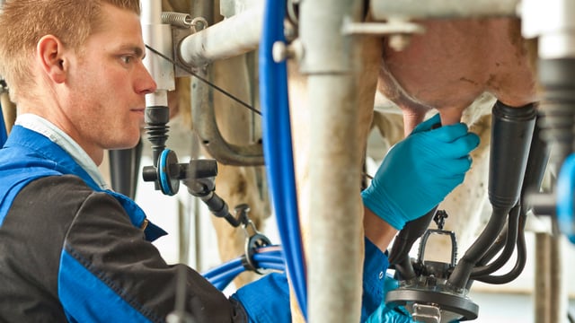 Video: New 'breed' of milking cluster launched by DeLaval